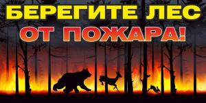 Промо-аншлаг ЛА-68 "Берегите лес от пожара"