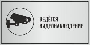 02 Табличка "Ведётся видеонаблюдение" пластик, ламинация